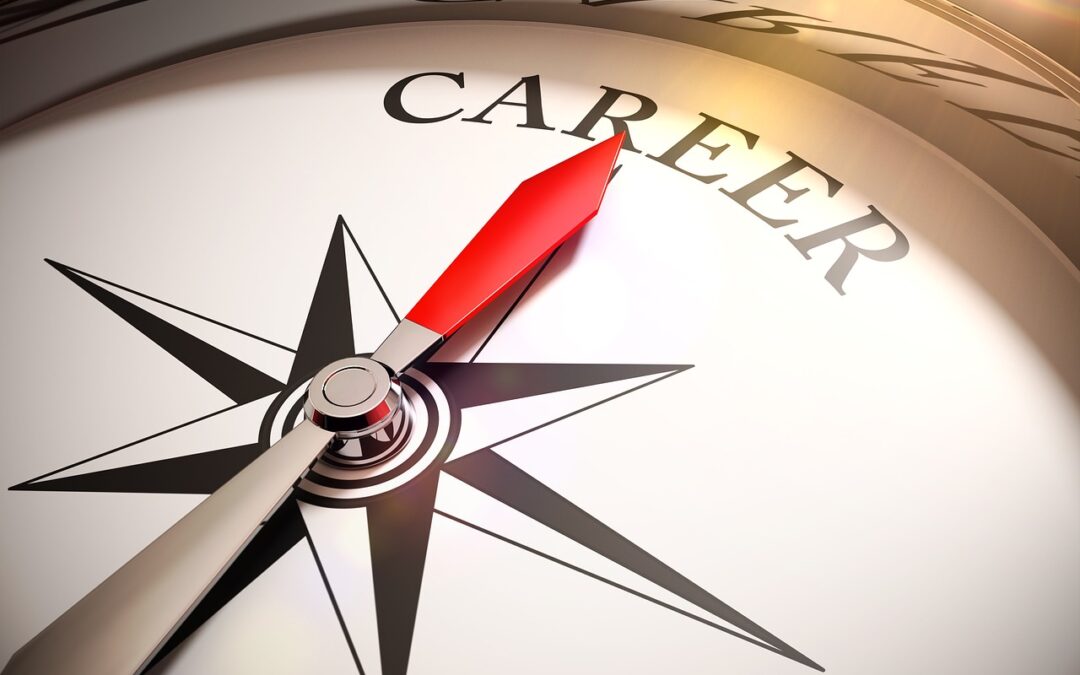 Career Seeking Paradox